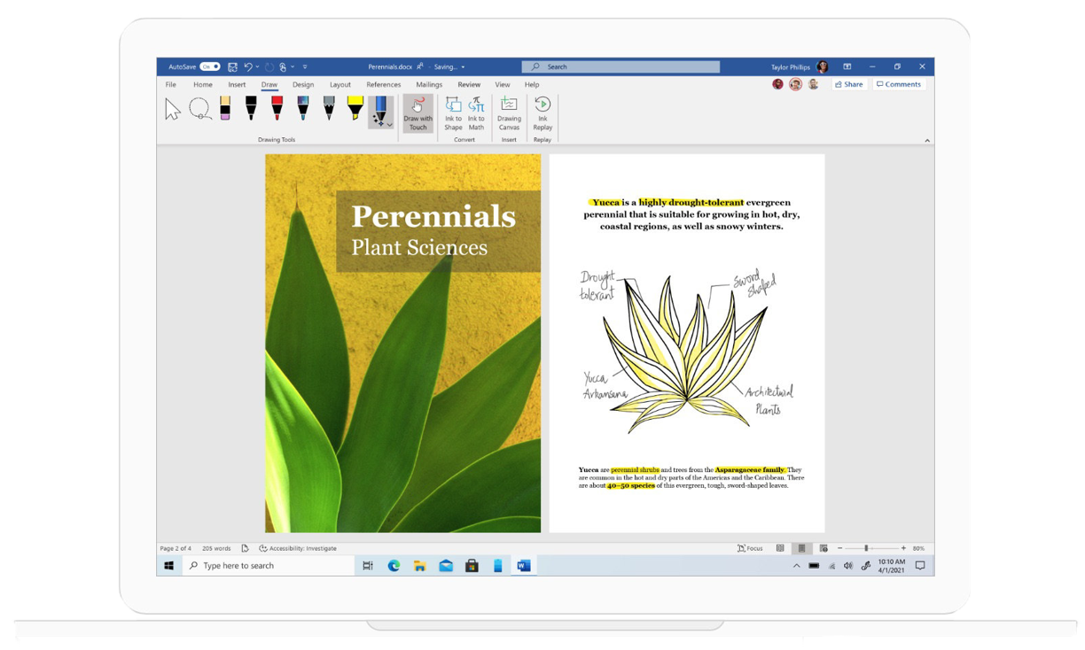 Word Microsoft Office Word